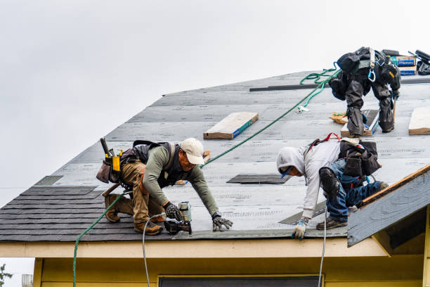 Professional Storm Damage Roof Repair technician working in Reynolds, ND